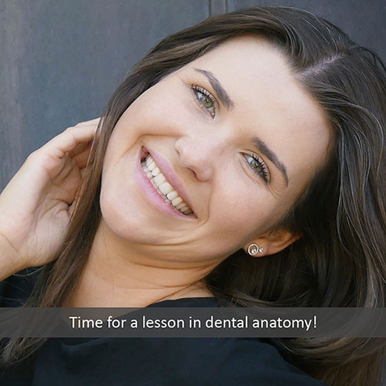 Time for a Lesson in Dental Anatomy!