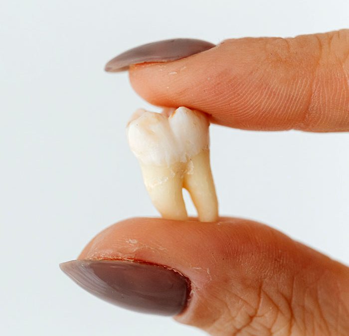 Baby Teeth Traditions of the World